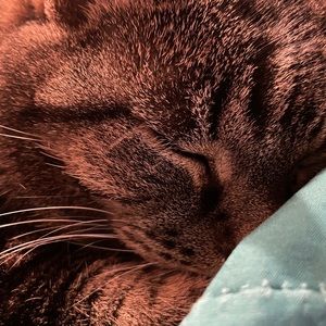 Meet your Posher, Debbie